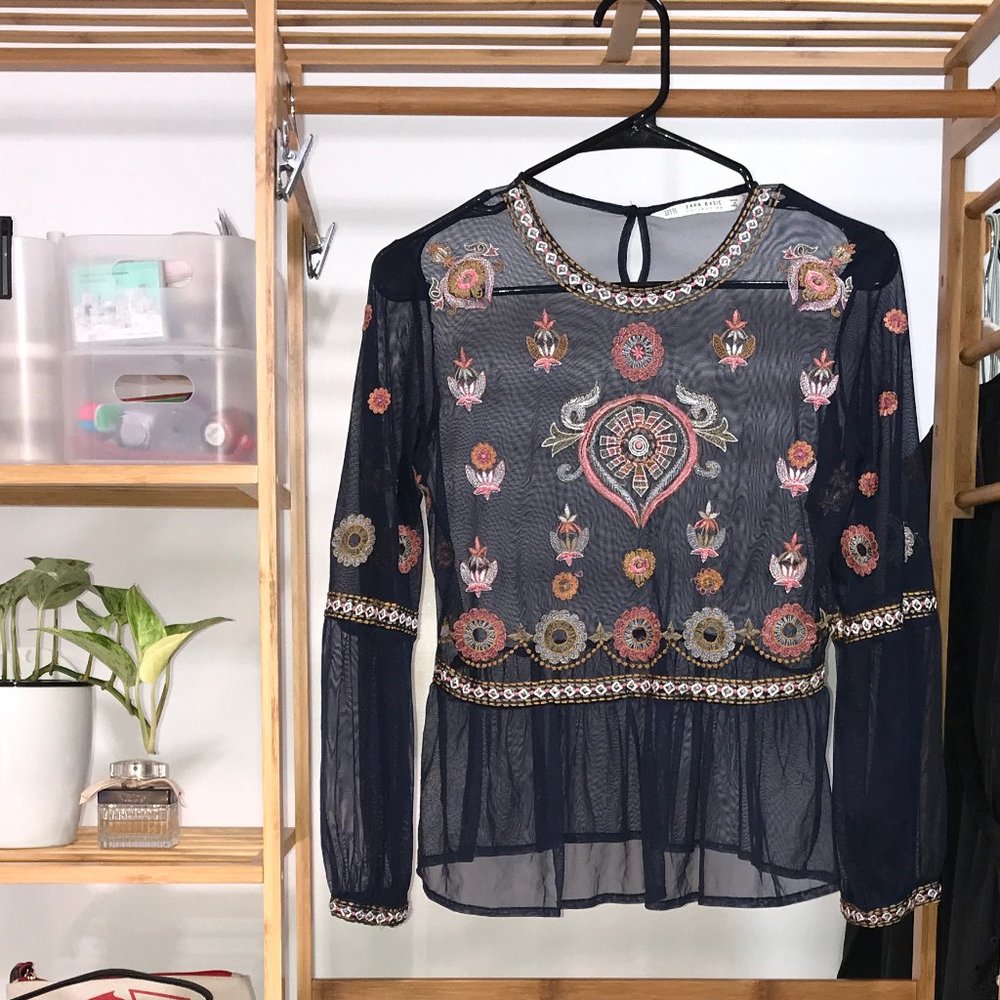 Zara Embroidered mesh long-sleeved top